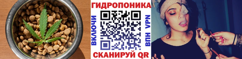 наркота  Белгород  MEGA вход  Еда ТГК марихуана 