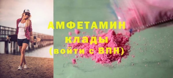 прущие грибы Горняк