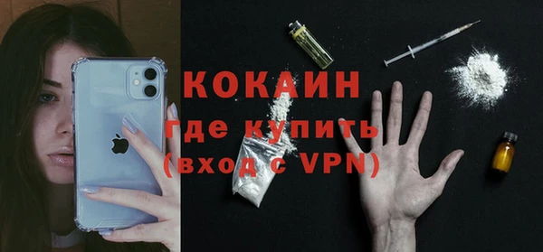 прущие грибы Горняк
