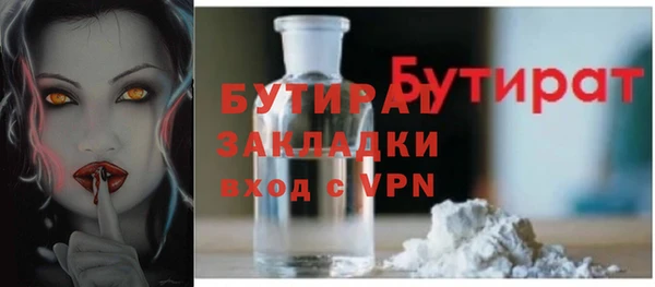прущие грибы Горняк
