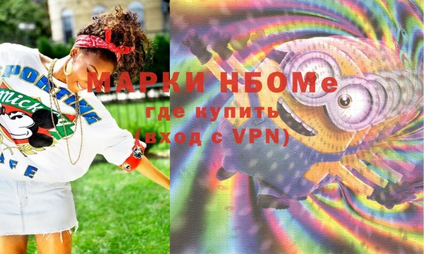 прущие грибы Горняк
