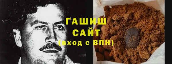 прущие грибы Горняк
