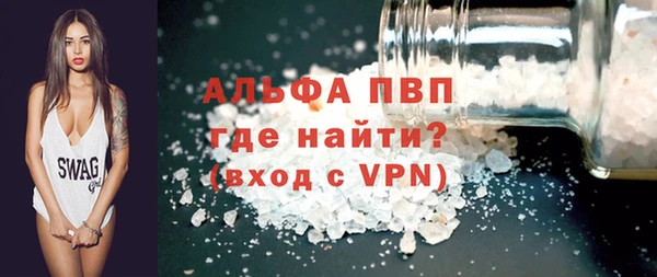 прущие грибы Горняк
